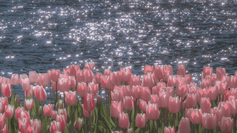 ĐỊNH HƯỚNG TƯƠNG LAI